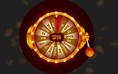 Free Spins A Year